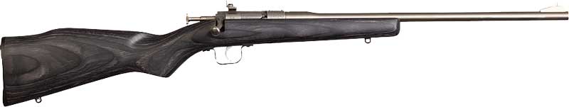 Chipmunk Rifle 22LR Stainless Black Laminate