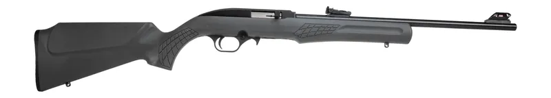 ROSSI RS22 22LR BLK/GRAY 18″ 10+1 #