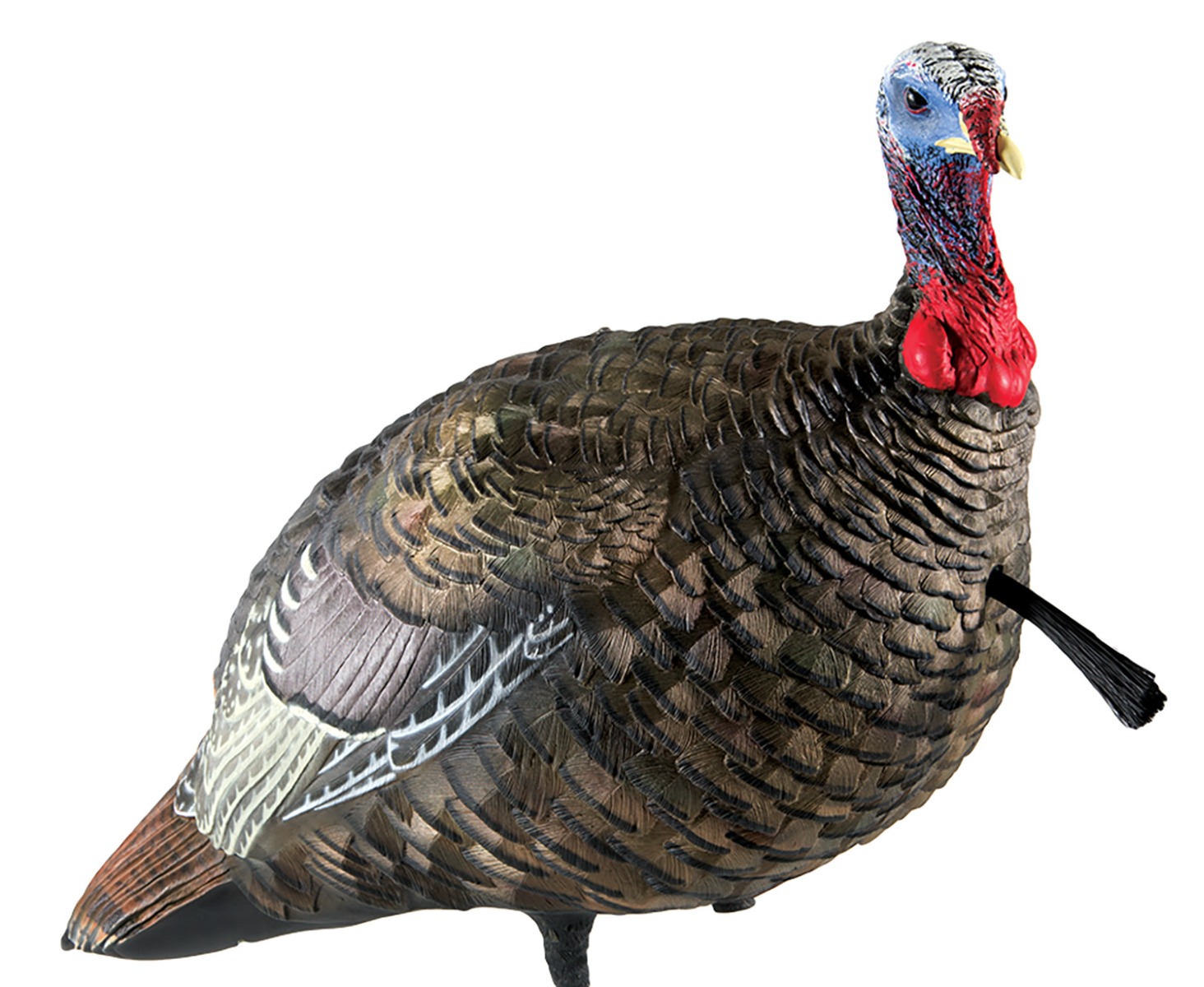 Avian-X LCD Quarter Stut Jake - 8003