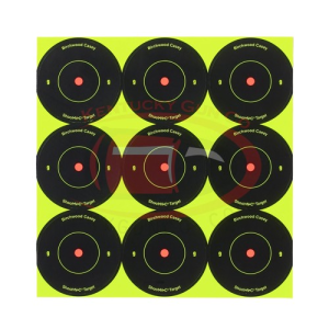 BIRCHWOOD CASEY Shoot-N-C 2" Bull's-eye Target - 108 targets
