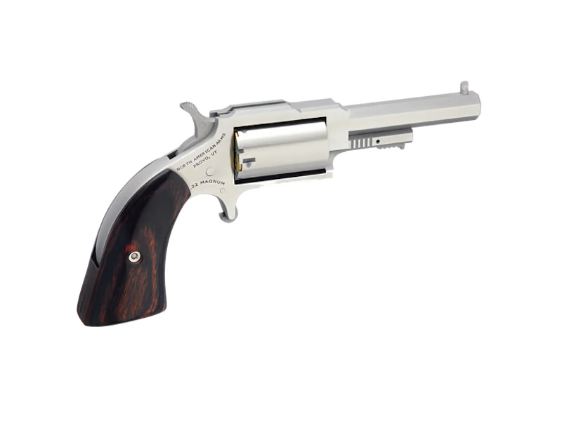 North American Arms SHERIFF 22MAG 2.5" SS 5SH NAA-1860-250