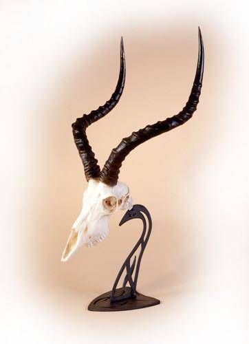 Skull Hooker Steel Graphite Black Accessory