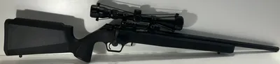 SPRINGFIELD ARMORY 2020 RIMFIRE (Used)