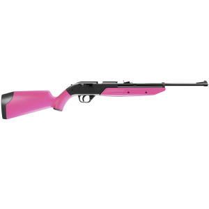 Crosman 760P 760 Pumpmaster  Pump 177 Pellet,177 BB 18rd Black Pink Synthetic Stock