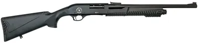 T R IMPORTS SILVER EAGLE RZ17 HOME DEFENSE