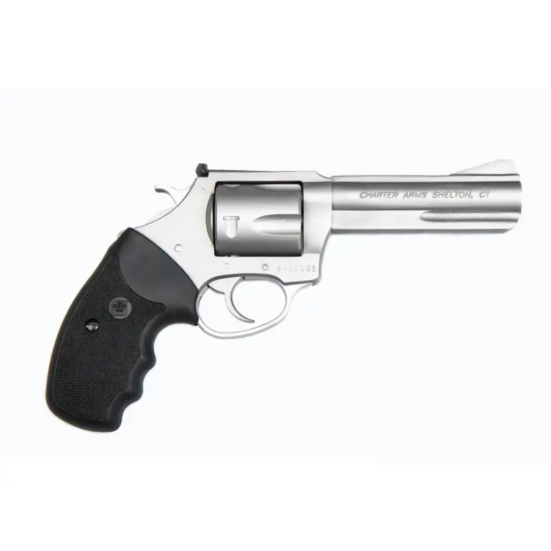 Charter Arms Carter Pit Bull Handgun .40 S 5rd Capacity 4.2" Barrel Silver with Black Grip
