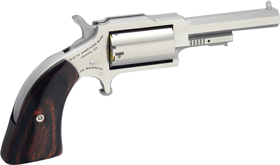 North American Arms SHERIFF 22LR/22MAG 2.5" SS 5SH NAA-1860-250C|PUSH BTN LATCH
