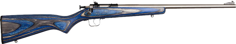 Crickett Rifle G2 .22 LR - Stainless Steel Blue Laminate