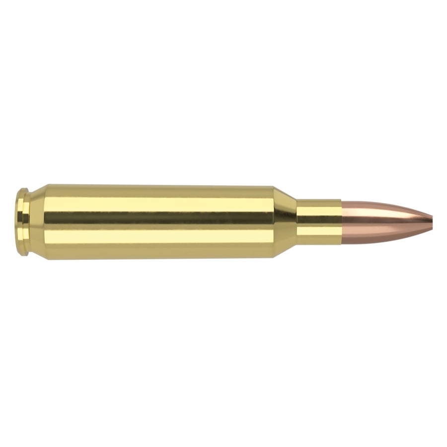 Nosler Varmageddon Rifle Ammunition .22 Nosler 62gr HPFB 3250 fps 20/ct - No Credit Card Fees - Low, flat rate shipping