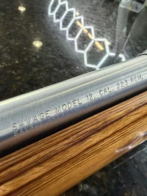 SAVAGE ARMS model 12 bvss (Used)