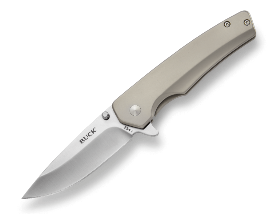 Buck Odessa Folding Drop Point Knife, Light Gray - 0254SSS-B