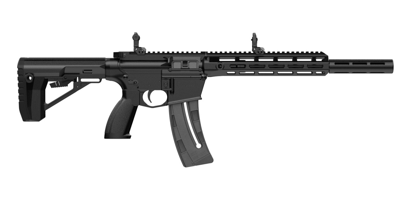 Retay USA RA1522 .22 LR 18" AR Rifle, 10+1 Capacity