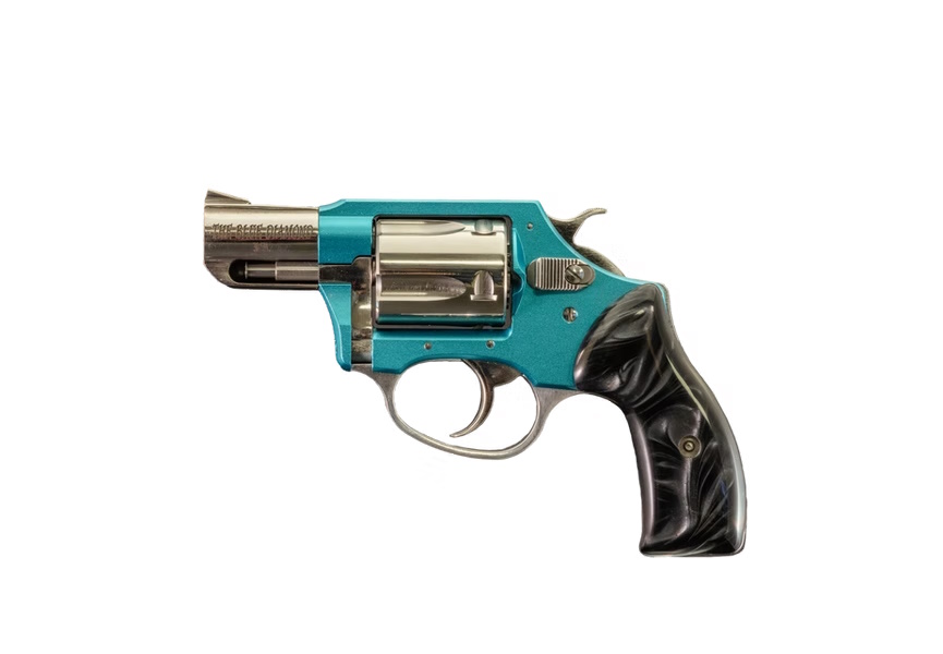 Charter Arms CHT UNDRCVR 38SP DA 2SS BDHP