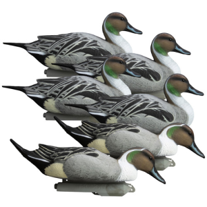 HIGDON Battleship Pintail Foam Filled Decoys 6pk