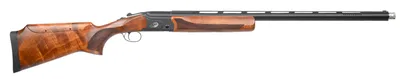 Pointer SCT Basic Trap