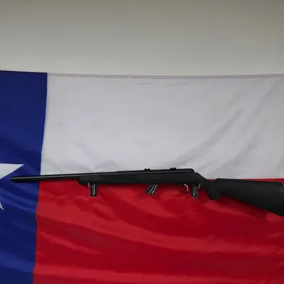 SAVAGE ARMS MARK II (Used)
