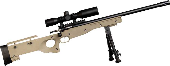 Crickett Precision Rifle 22LR Blued/FDE Threaded