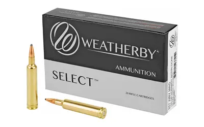 WBY AMMO 257WBY 100GR Hornady INTER