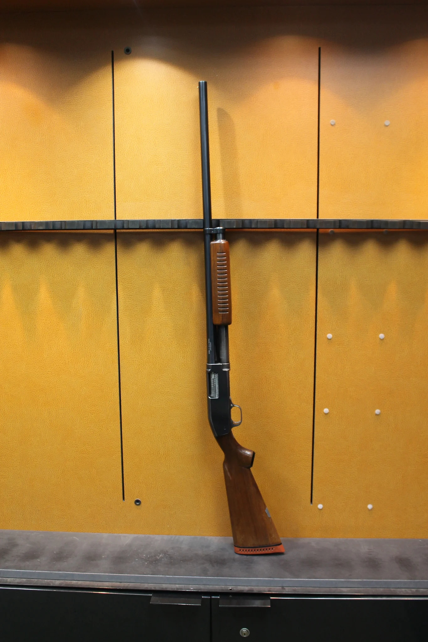 J.C. HIGGINS 20 (Used)