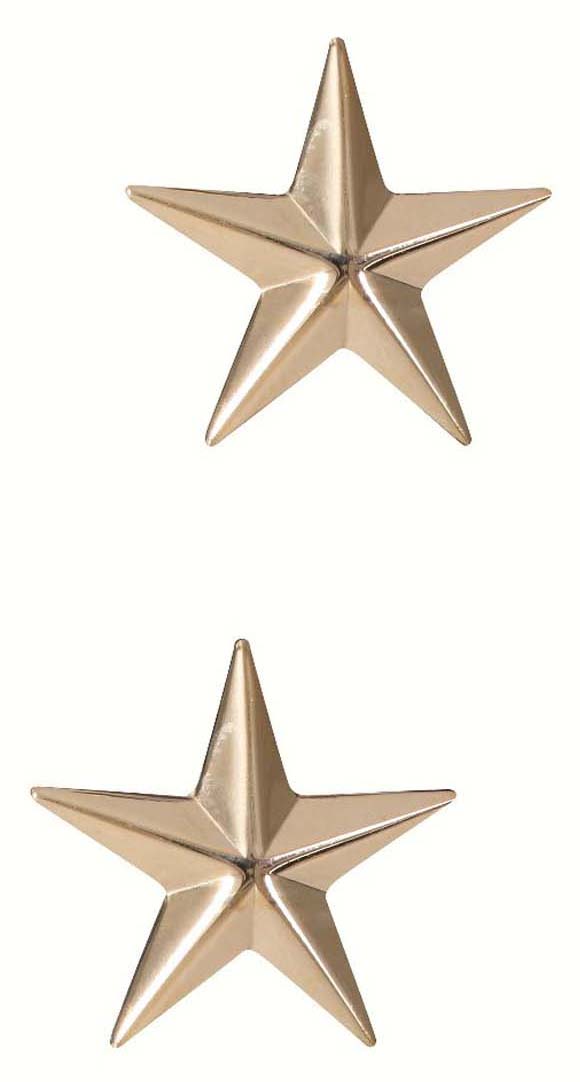 Rothco Brigadier General Insignia Stars - Gold