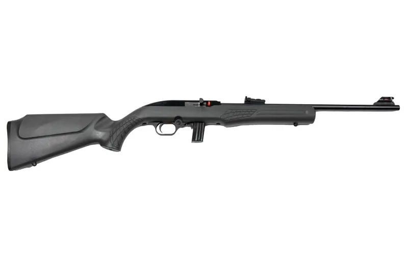 Rossi BRZ ROSSI RS22 22LR 18B GRY 10