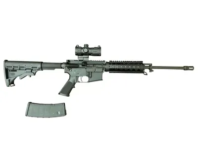 BUSHMASTER XM15-E2S (Used)