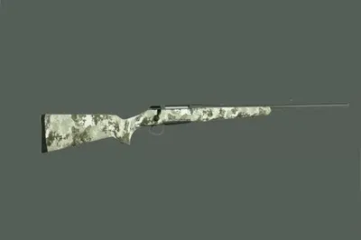 SAUER 100