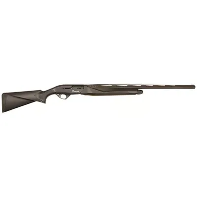 Lsi Pointer