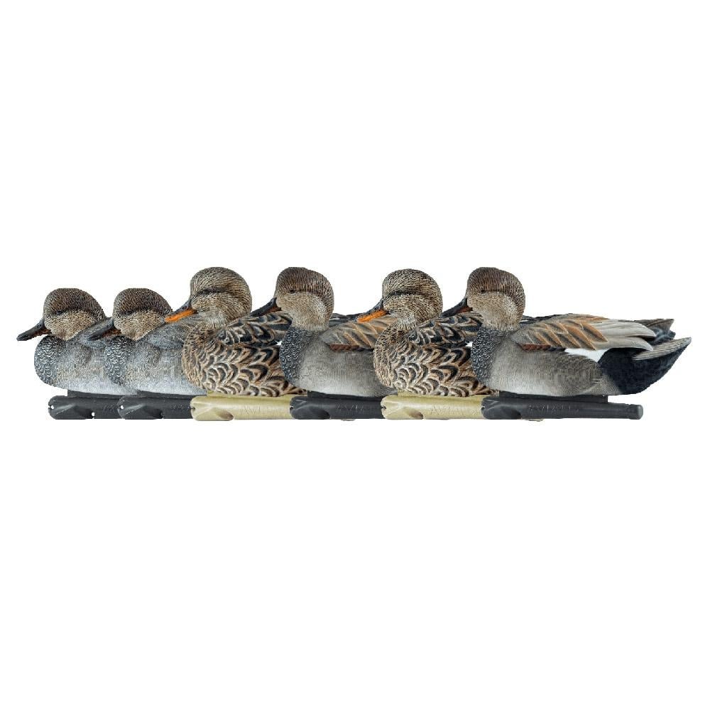 Avian X Top Flight Gadwall Duck Decoys, 6 Pack - AVX8085