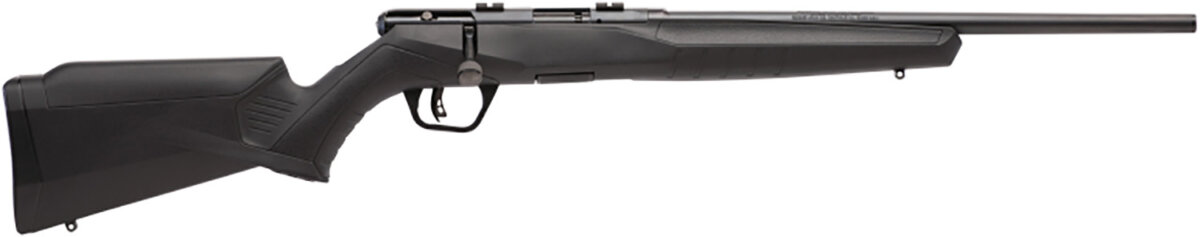 Savage Arms SAV B22MF COMPACT 22M BA 10RD