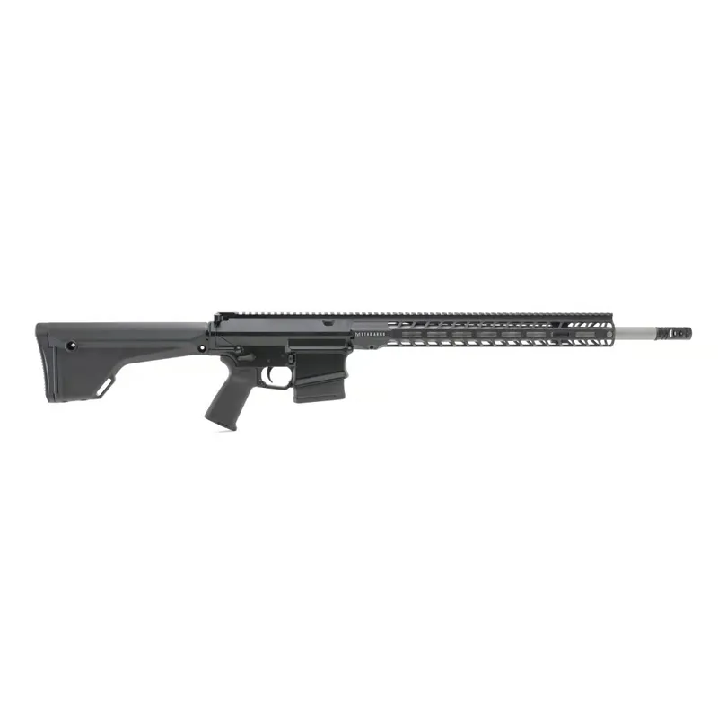 Stag Arms Stag 10
