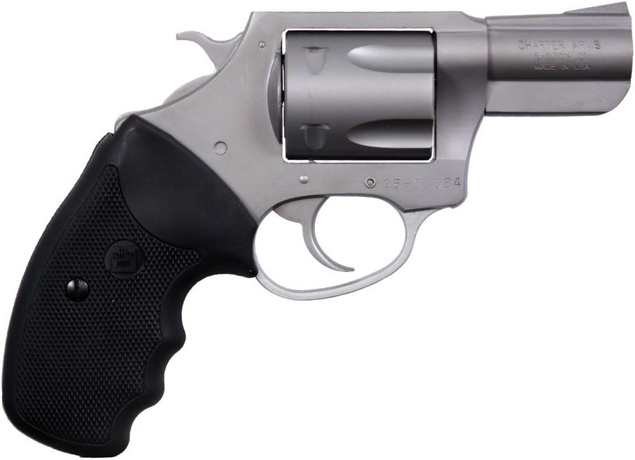 Charter Arms CHT PITBULL 9MM DA REV 2SS