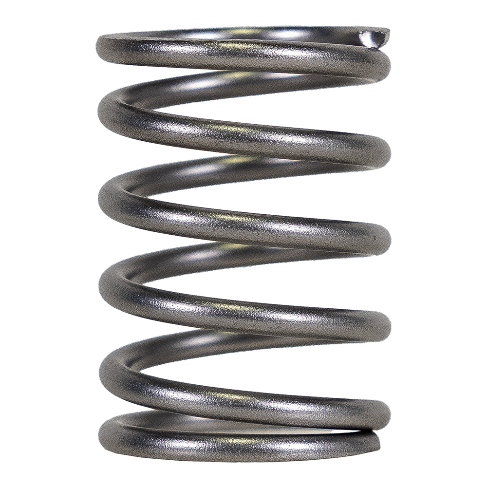 Piston Spring 9 & 45