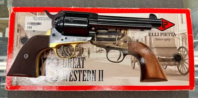 PIETTA 1873 (Used)