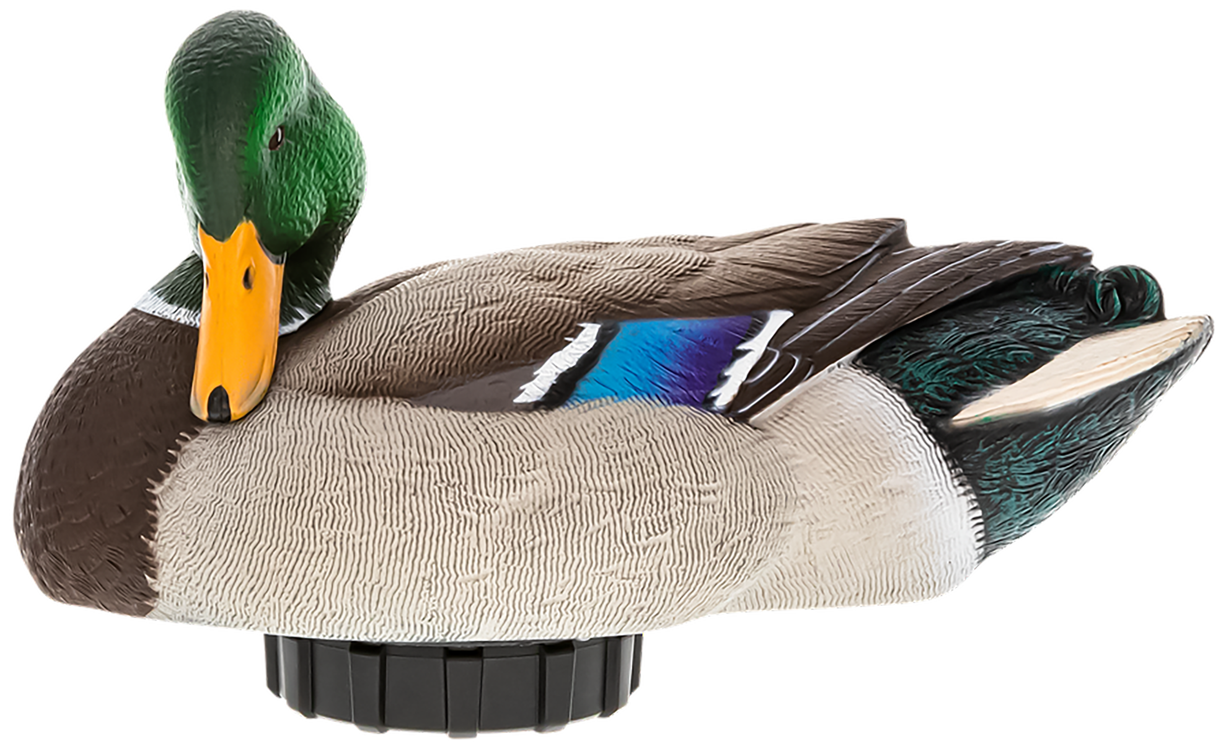 Avian X Mallard Drake Preener Duck Decoy with Shaker Module