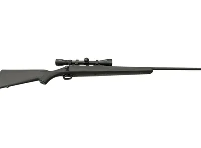 SAVAGE ARMS 10 (Used)