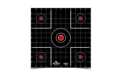 B/C DIRTY BIRD SIGHT IN TGT 12-12"