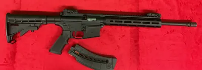 SMITH & WESSON M&P 15-22 (Used)