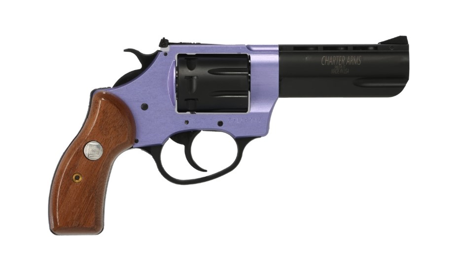 Charter Arms Pathfinder II .22 LR Revolver 3.5"
